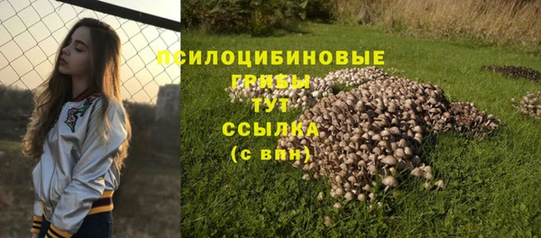 спиды Каменногорск