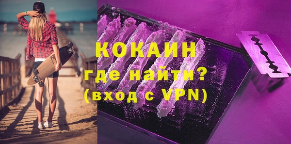 мет Инта