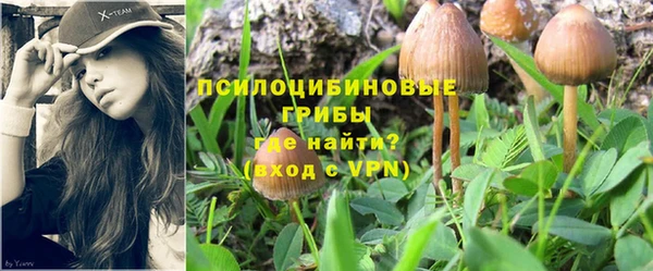 мет Инта