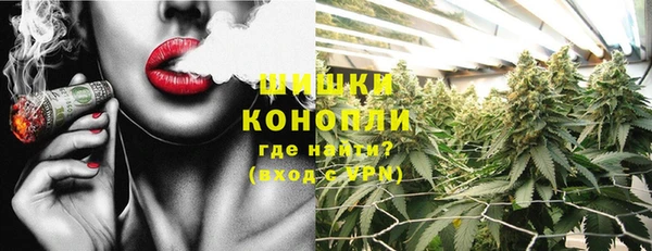 гидропоника Каменка