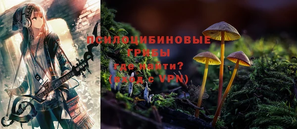 спиды Каменногорск
