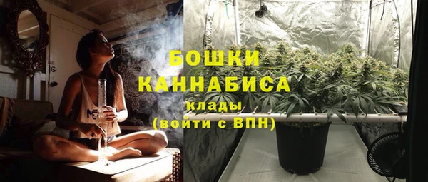 спиды Каменногорск