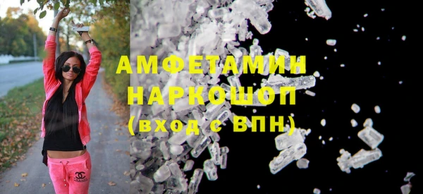 спиды Каменногорск