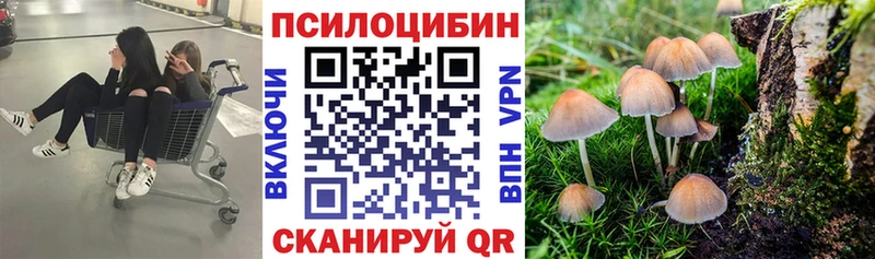 Галлюциногенные грибы GOLDEN TEACHER  сайты даркнета клад  Ивангород 