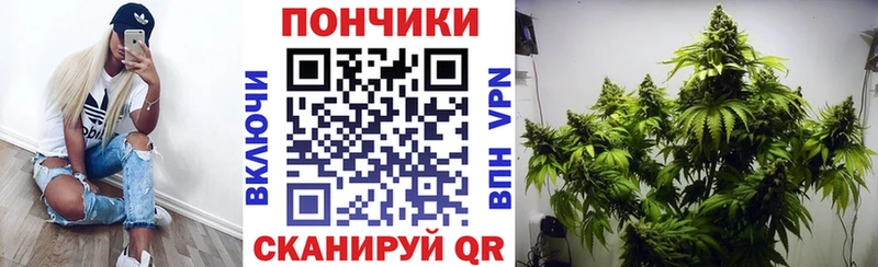 Марихуана Amnesia  Ивангород 